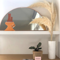 Melbourne and Geelong gift delivery service | Indoor Plant Styling Melbourne and Geelong | These are photographs of our indoor plants styled.