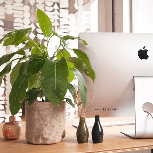 Australia's best corporate gift delivery | Corporate gift delivery ideas | Send an employee work from home gift | staff gift delivery service | Corporate gift delivery Australia | Corporate gift delivery Melbourne