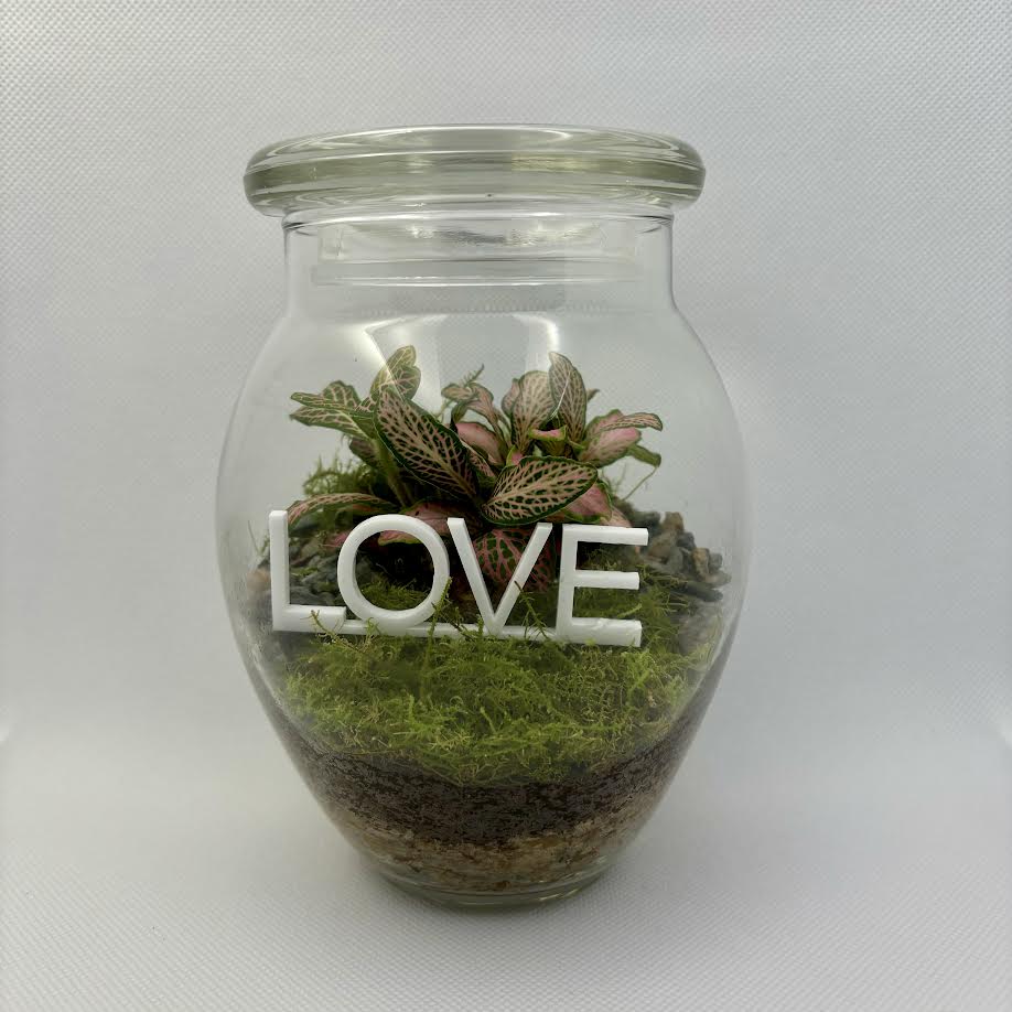 Terrarium by Little Lands