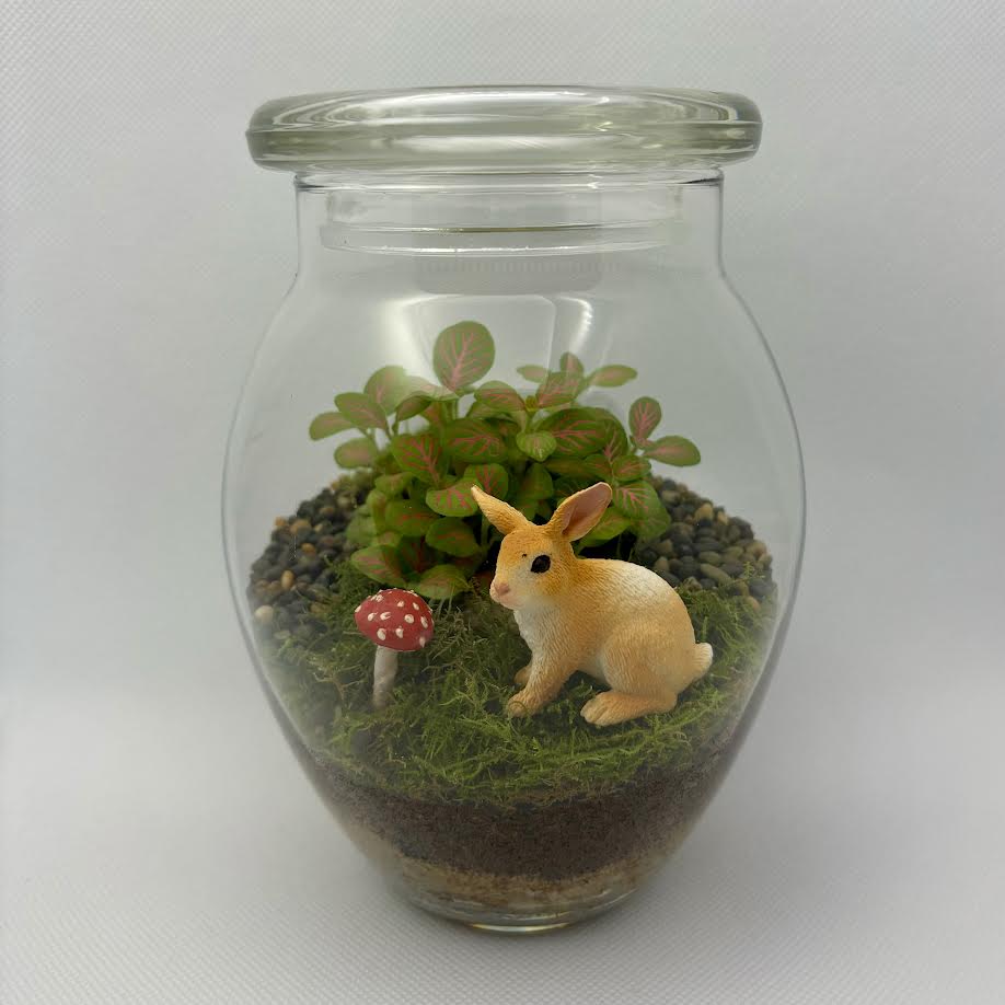 Terrarium by Little Lands