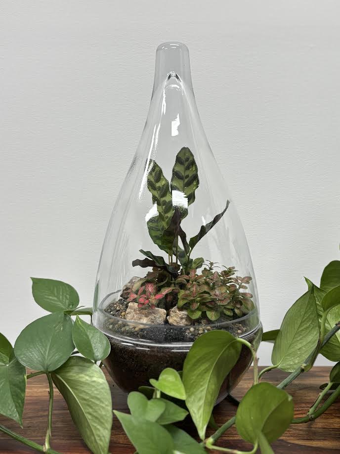Same day gift delivery Melbourne & Geelong | Online gift delivery Melbourne | Little Land Terrarium |