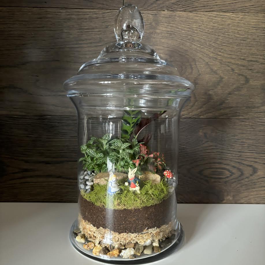 Terrarium by Little Lands