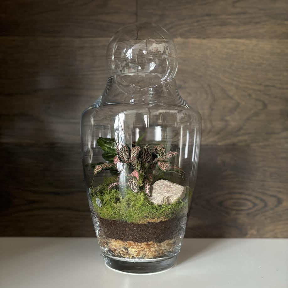 Terrarium by Little Lands