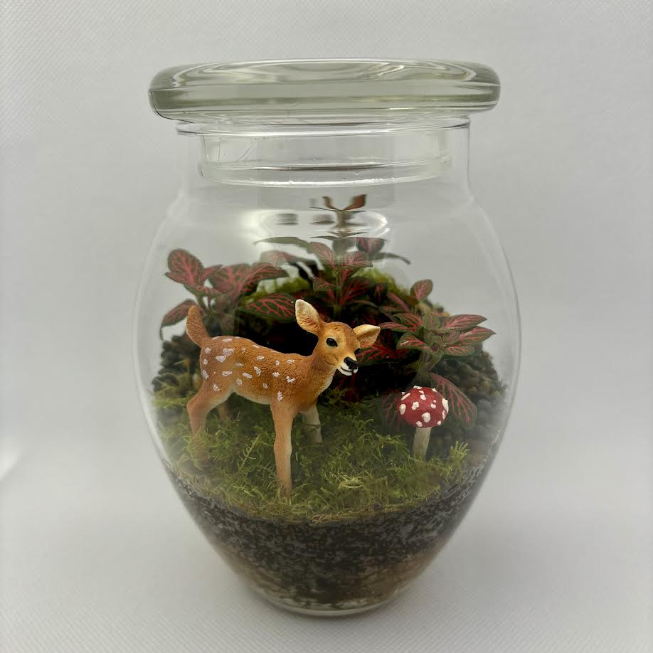 Terrarium by Little Lands