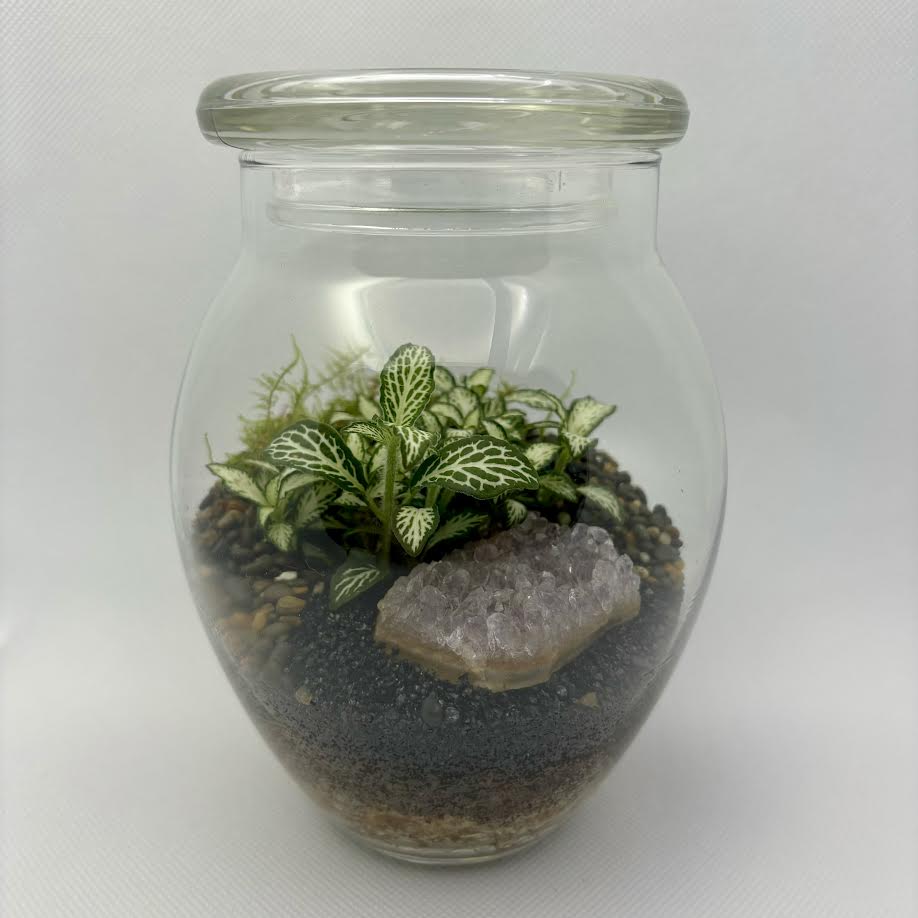 Terrarium by Little Lands