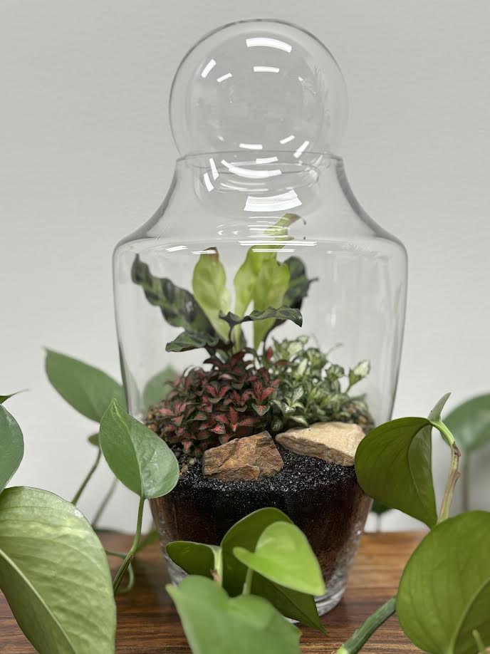 Same day gift delivery Melbourne & Geelong | Online gift delivery Melbourne | Little Land Terrarium |