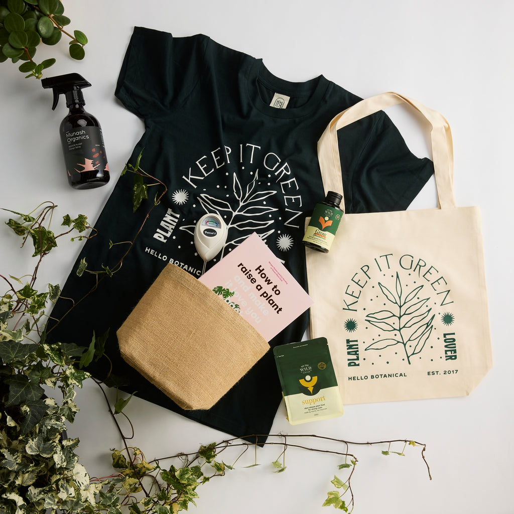 Gift Ideas for Indoor Plant Lovers Melbourne | Ultimate Plant Lover Care Package
