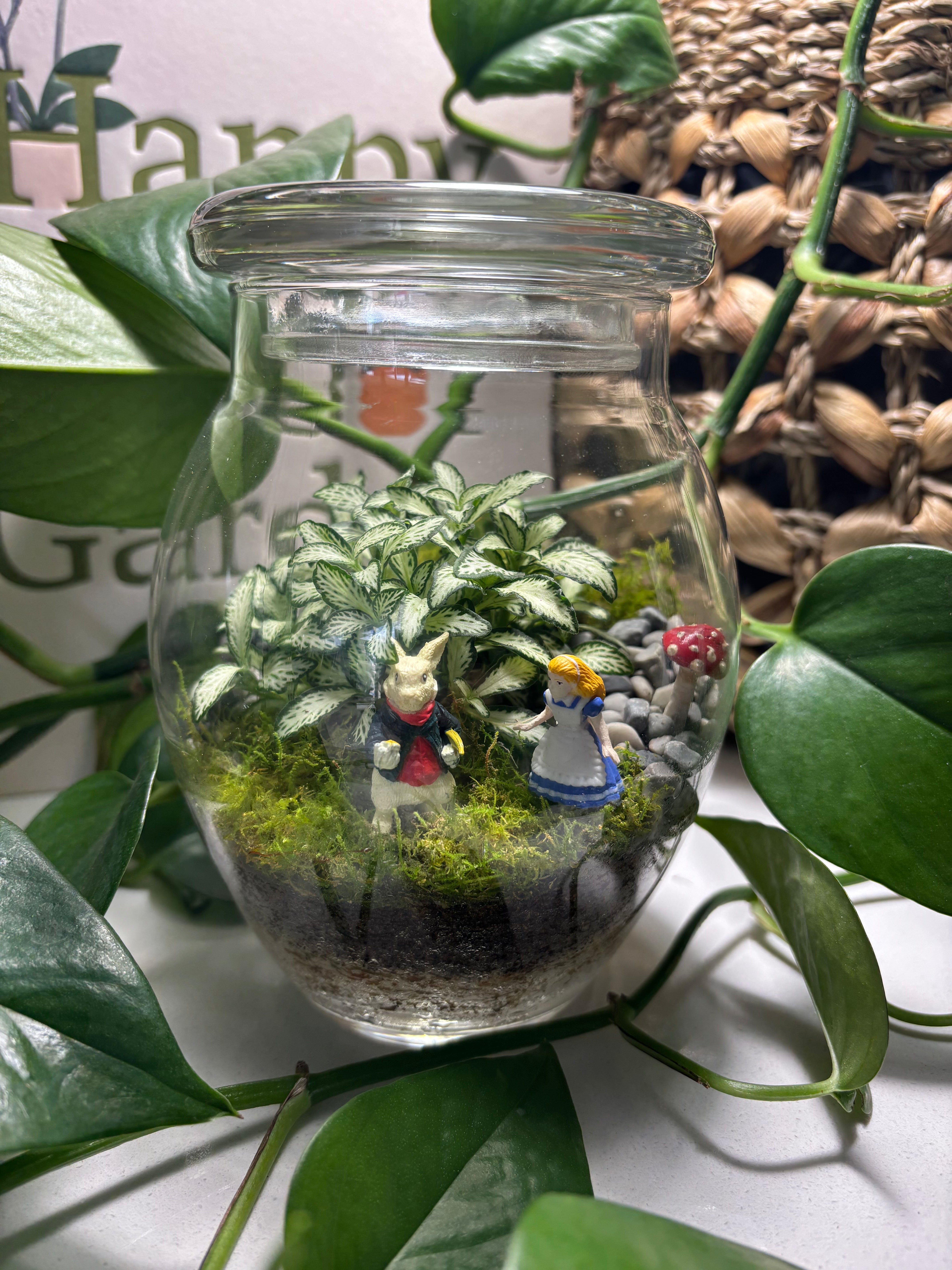 Terrarium by Little Lands