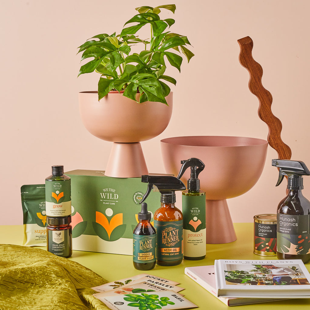 Best Plant Care Products | Same day plant gift delivery Melbourne | Hello Botanical | Send a gift in Melbourne | Melbourne's best indoor plant gift delivery | Buy Indoor plants online | Corproate gift delivery Australia | Corporate gift delivery Melbourne