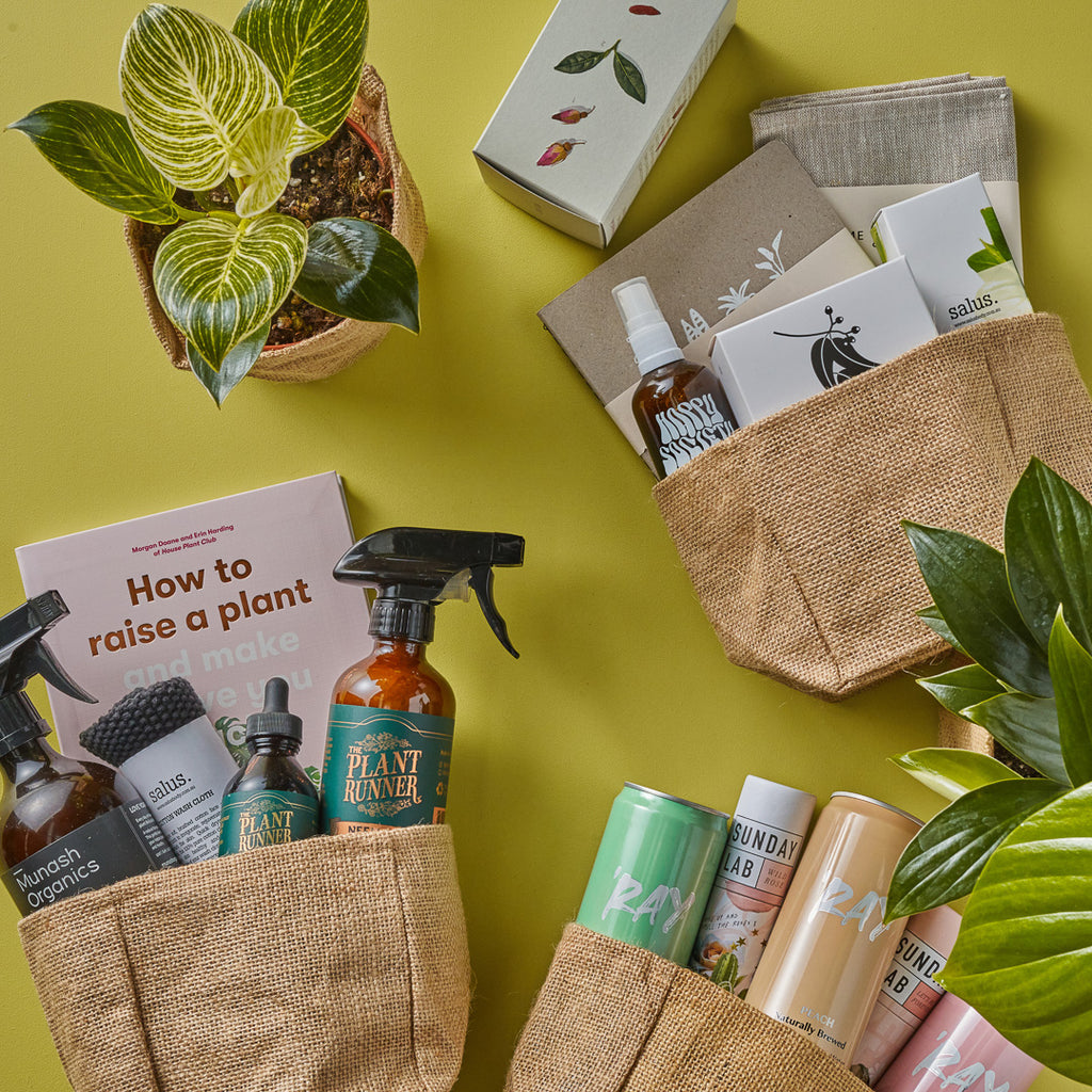 Hello Botanical Same Day Indoor Plant Gift Delivery Melbourne | Hello Botanical