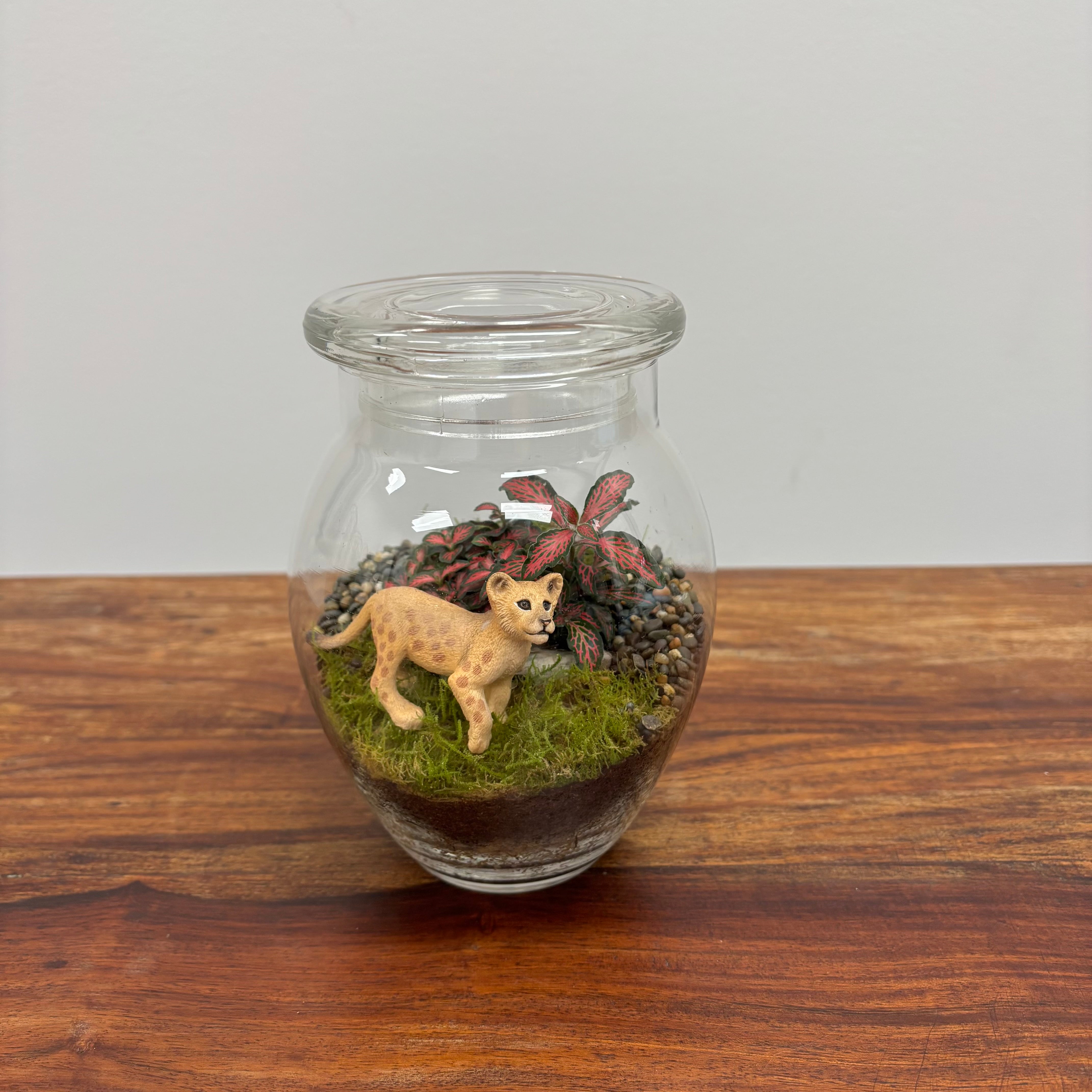 Terrarium by Little Lands