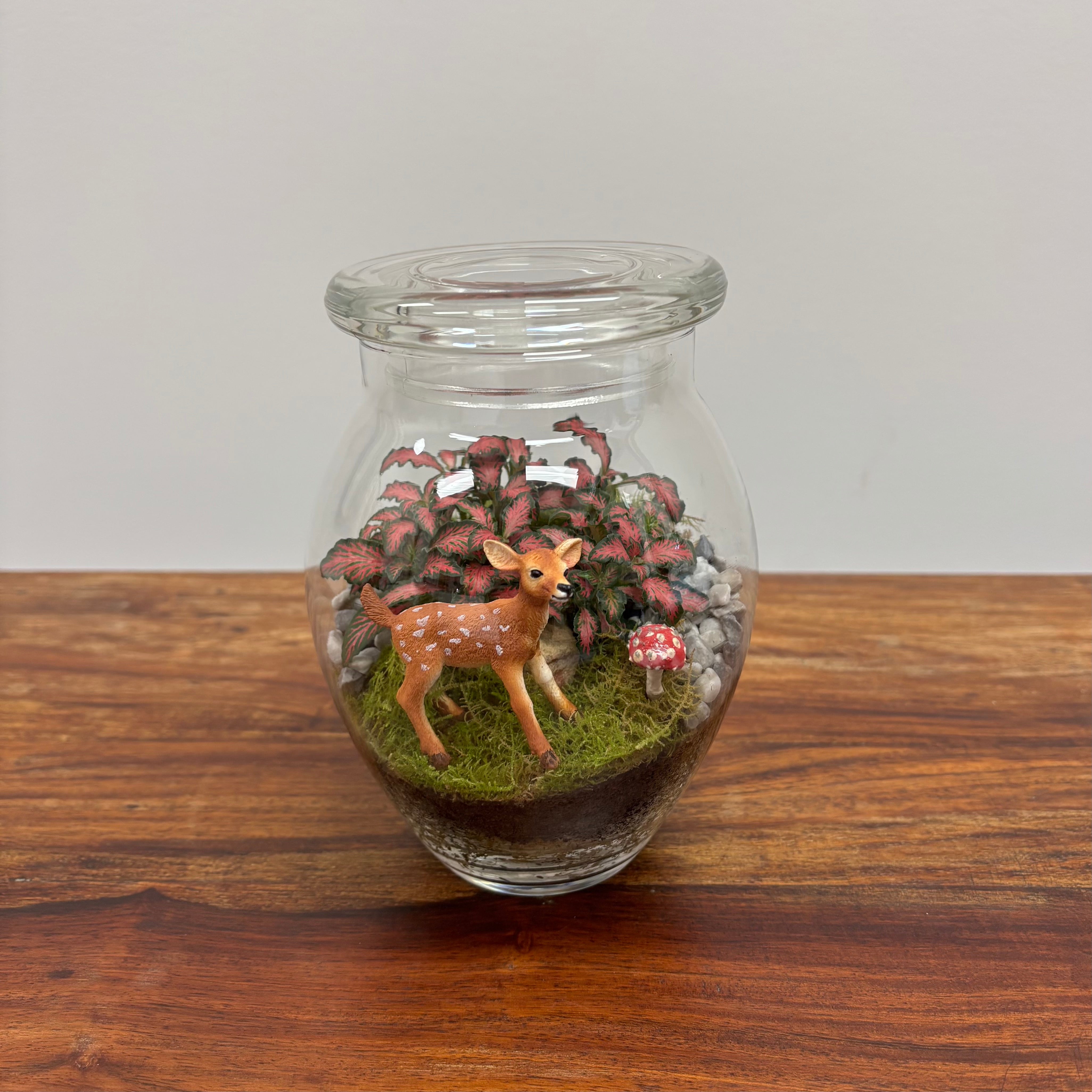 Terrarium by Little Lands
