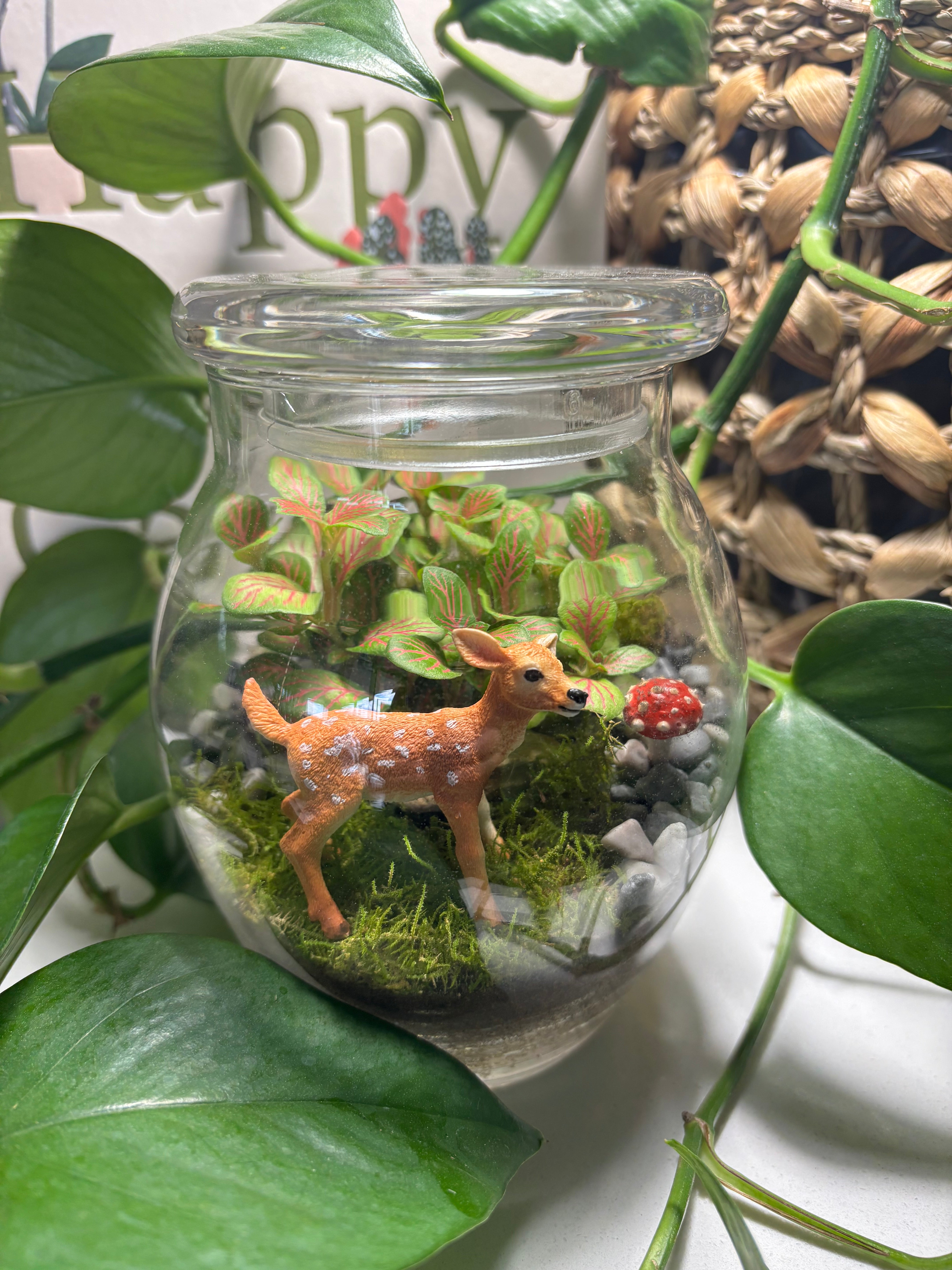 Terrarium by Little Lands