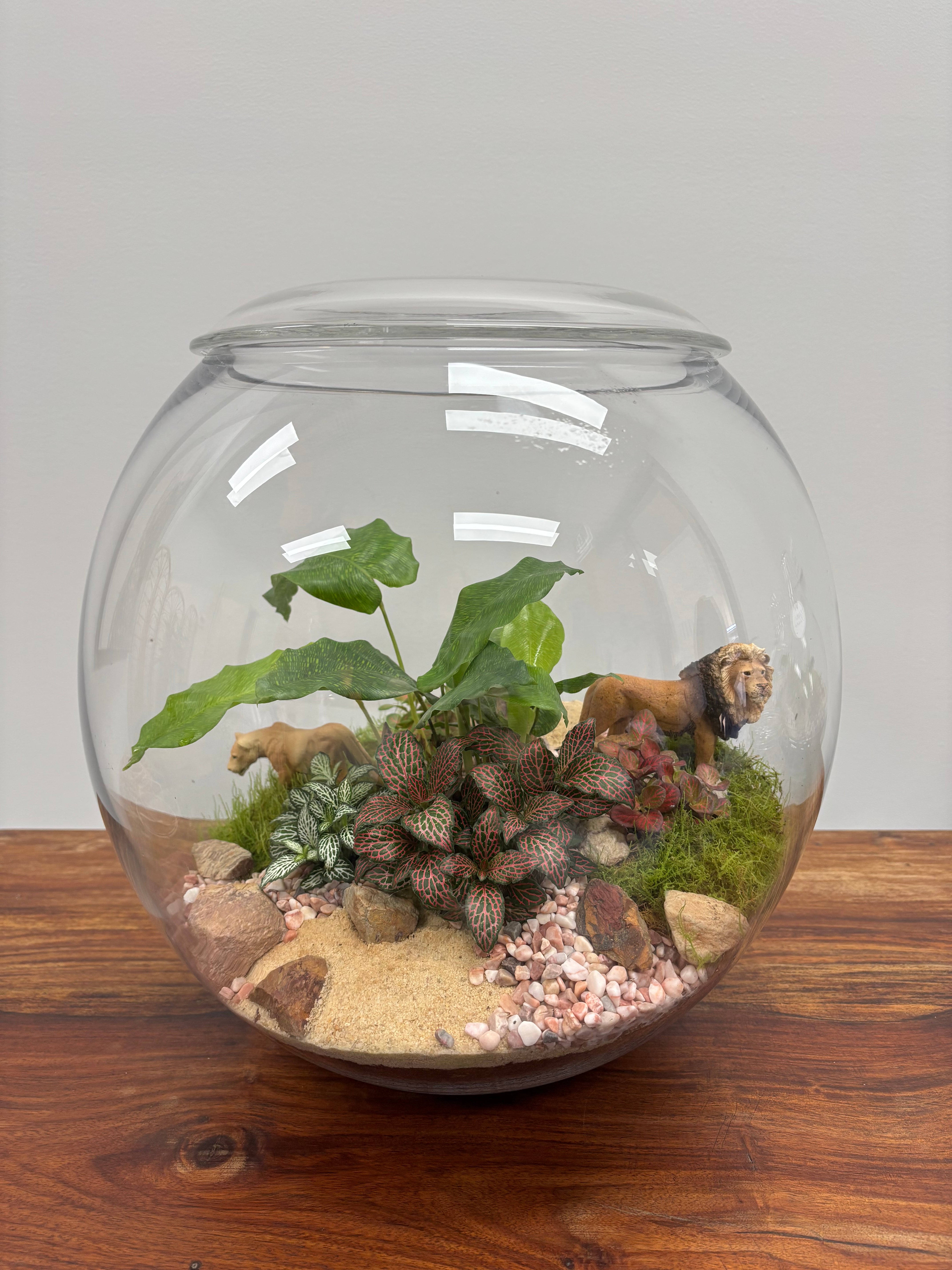 Terrarium by Little Lands
