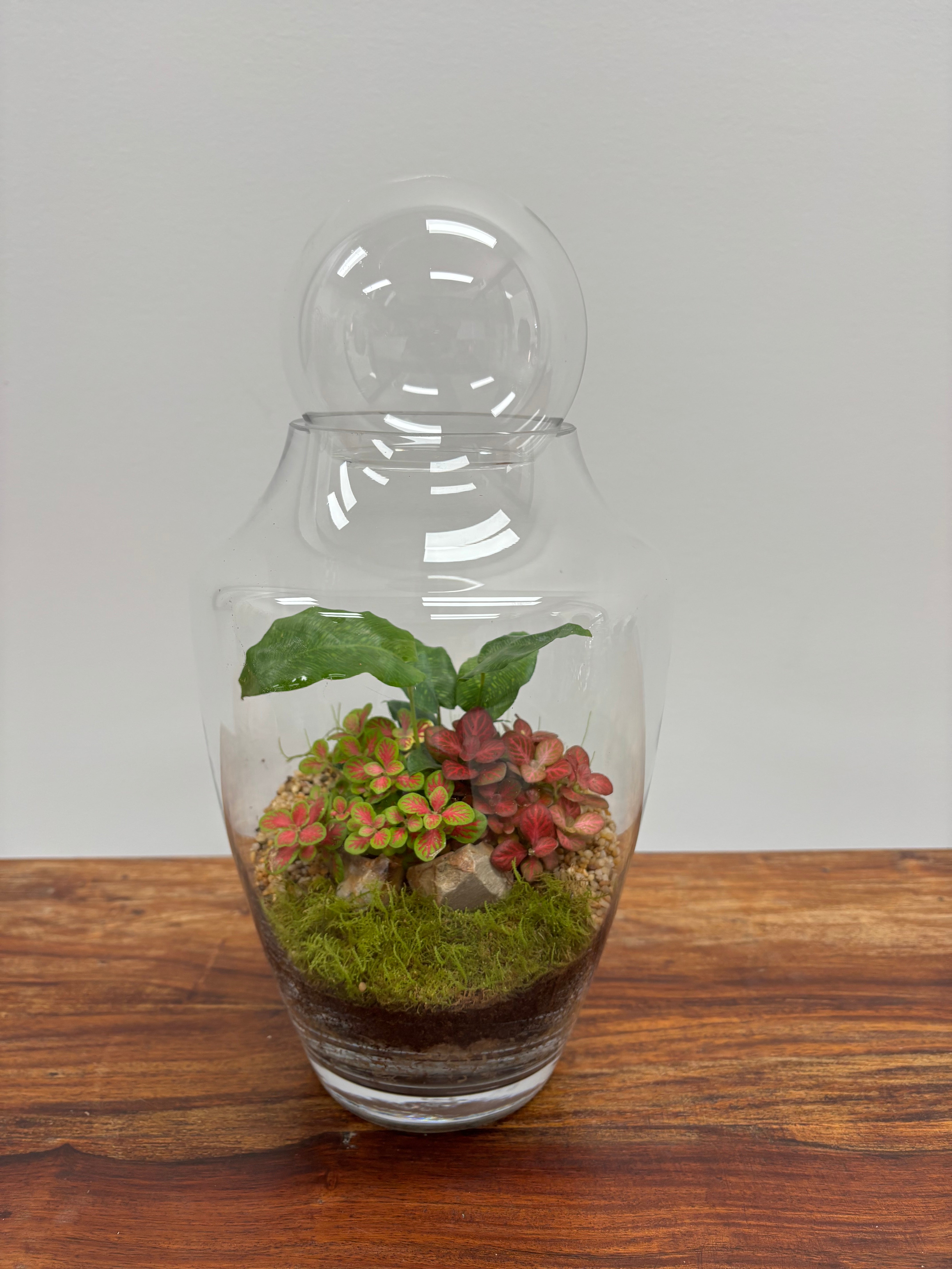 Terrarium by Little Lands