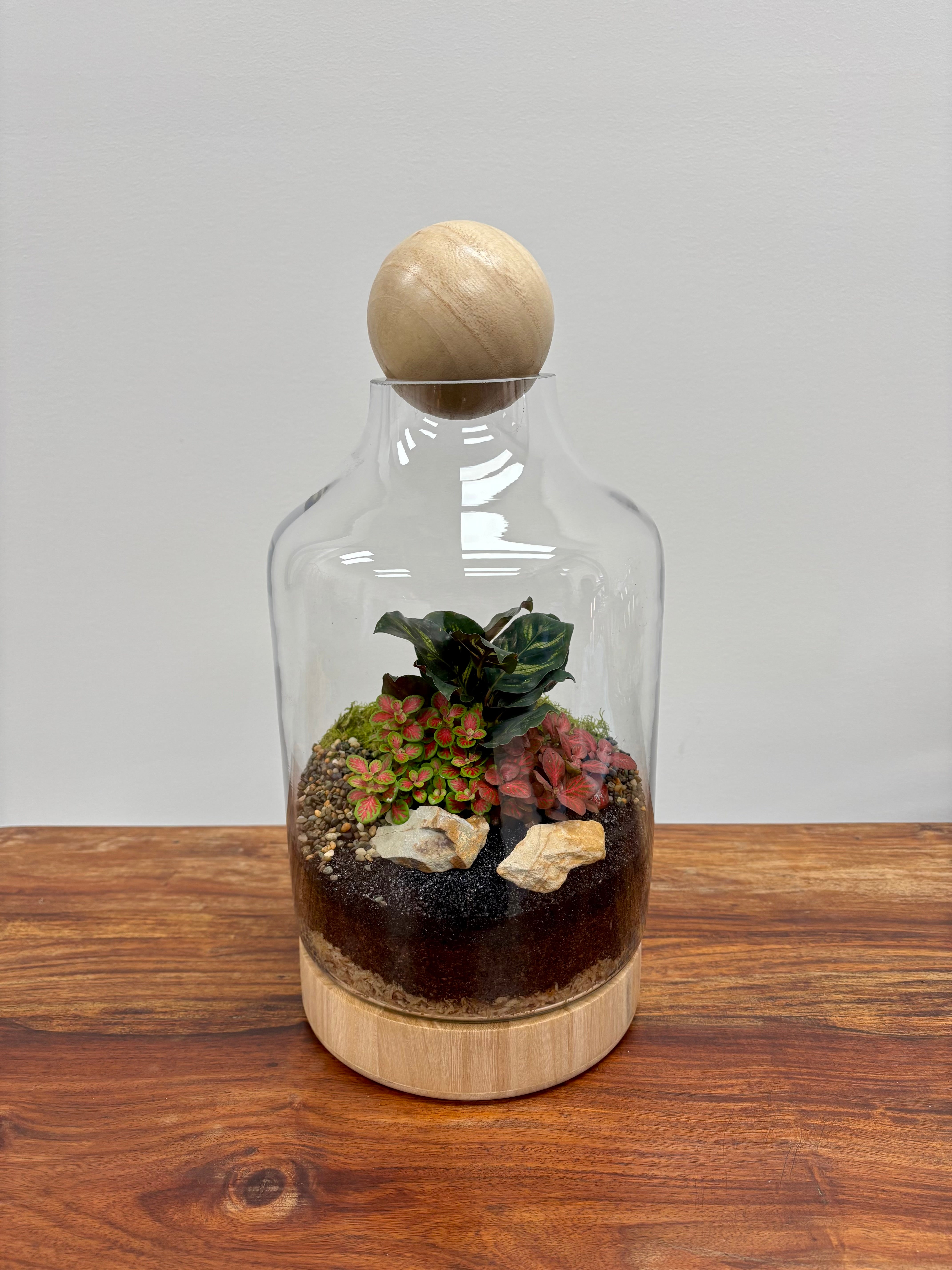 Terrarium by Little Lands