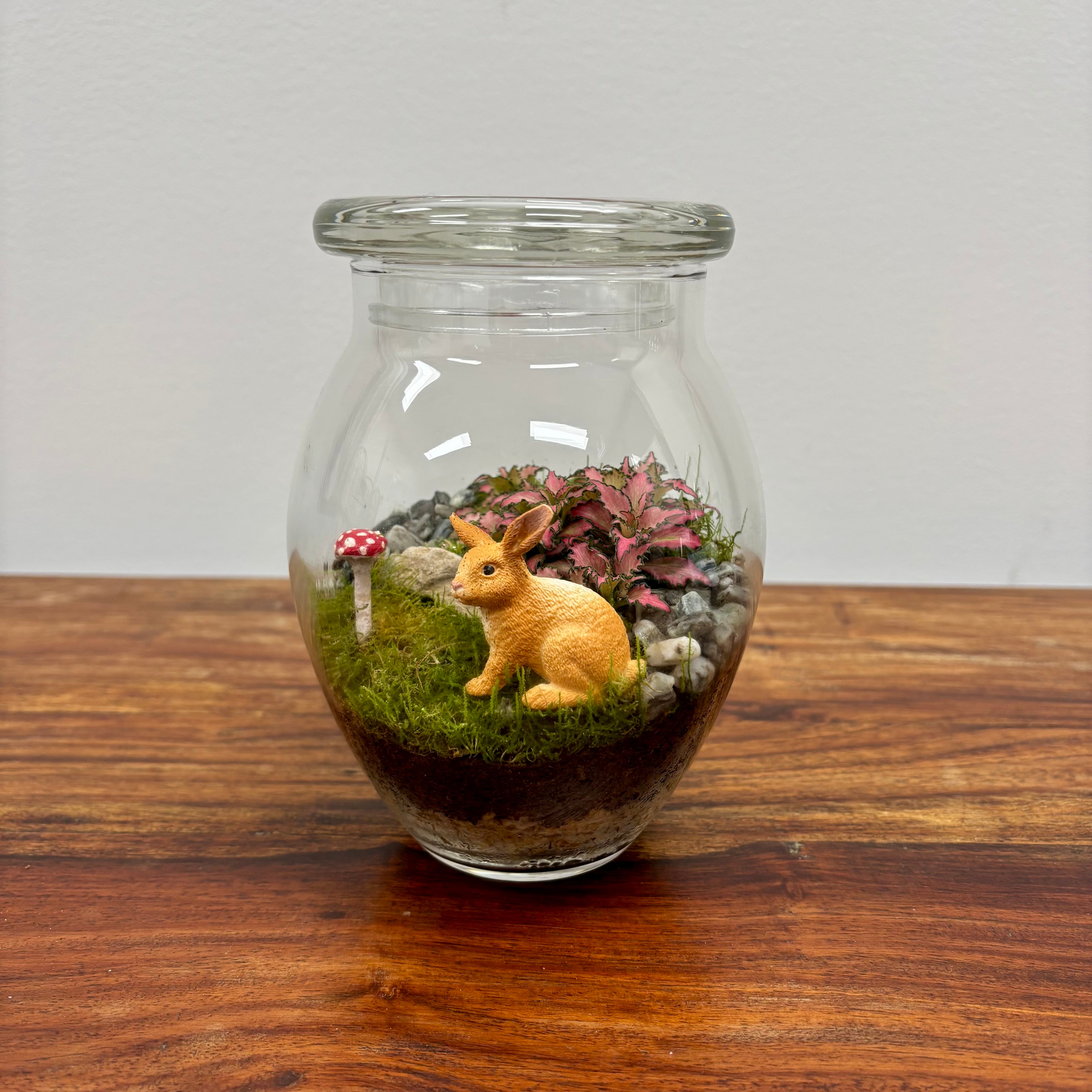 Terrarium by Little Lands