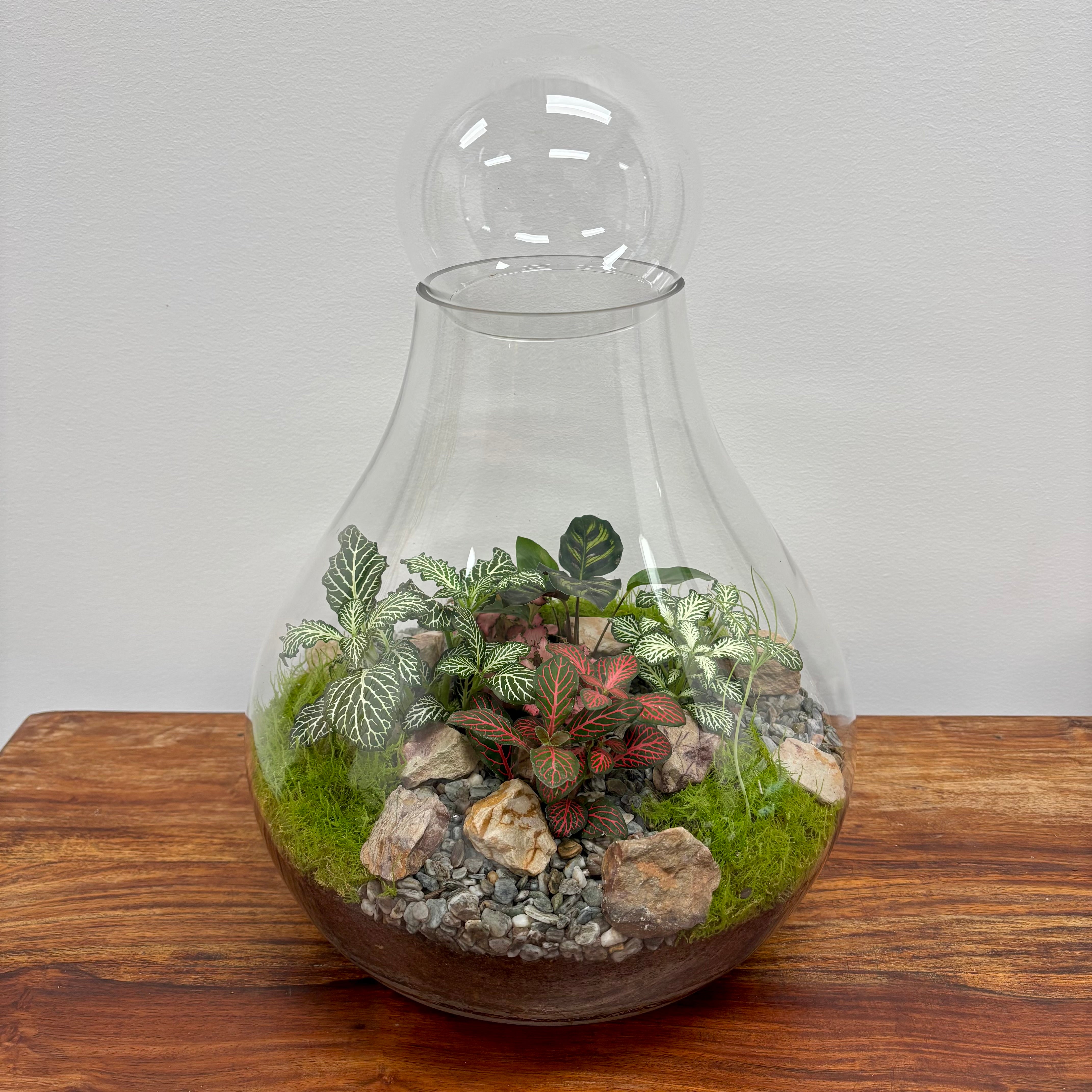 Terrarium by Little Lands