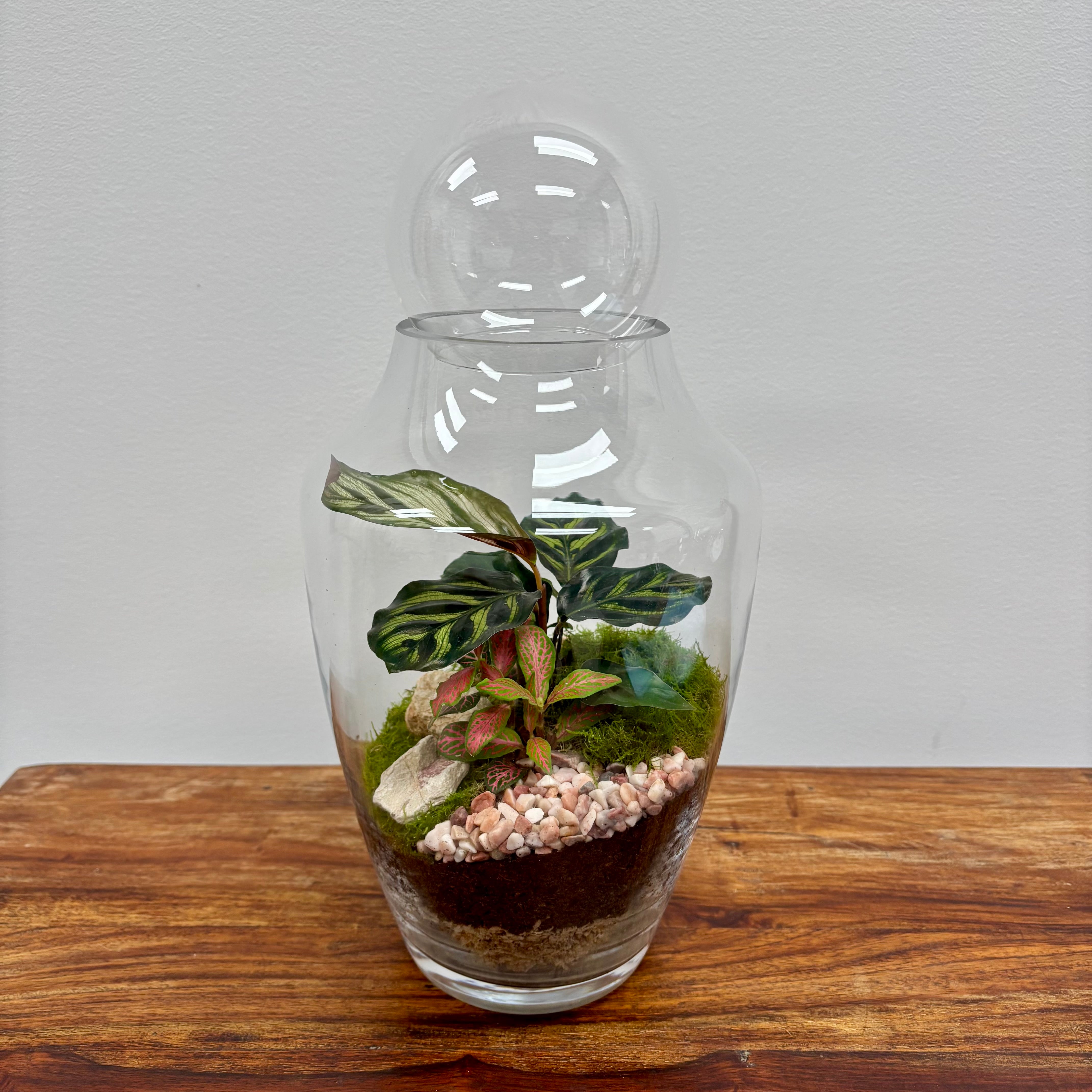 Terrarium by Little Lands