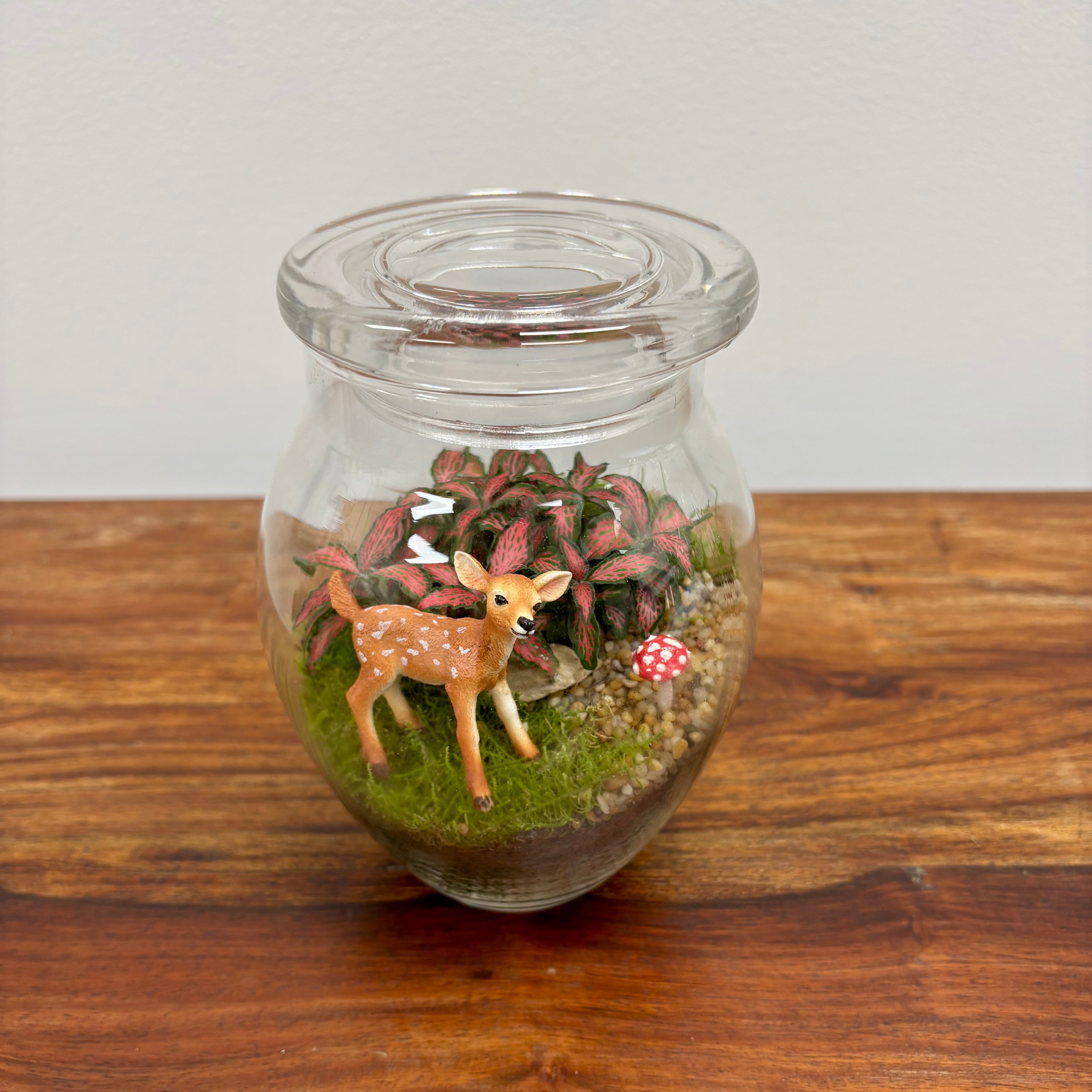 Terrarium by Little Lands