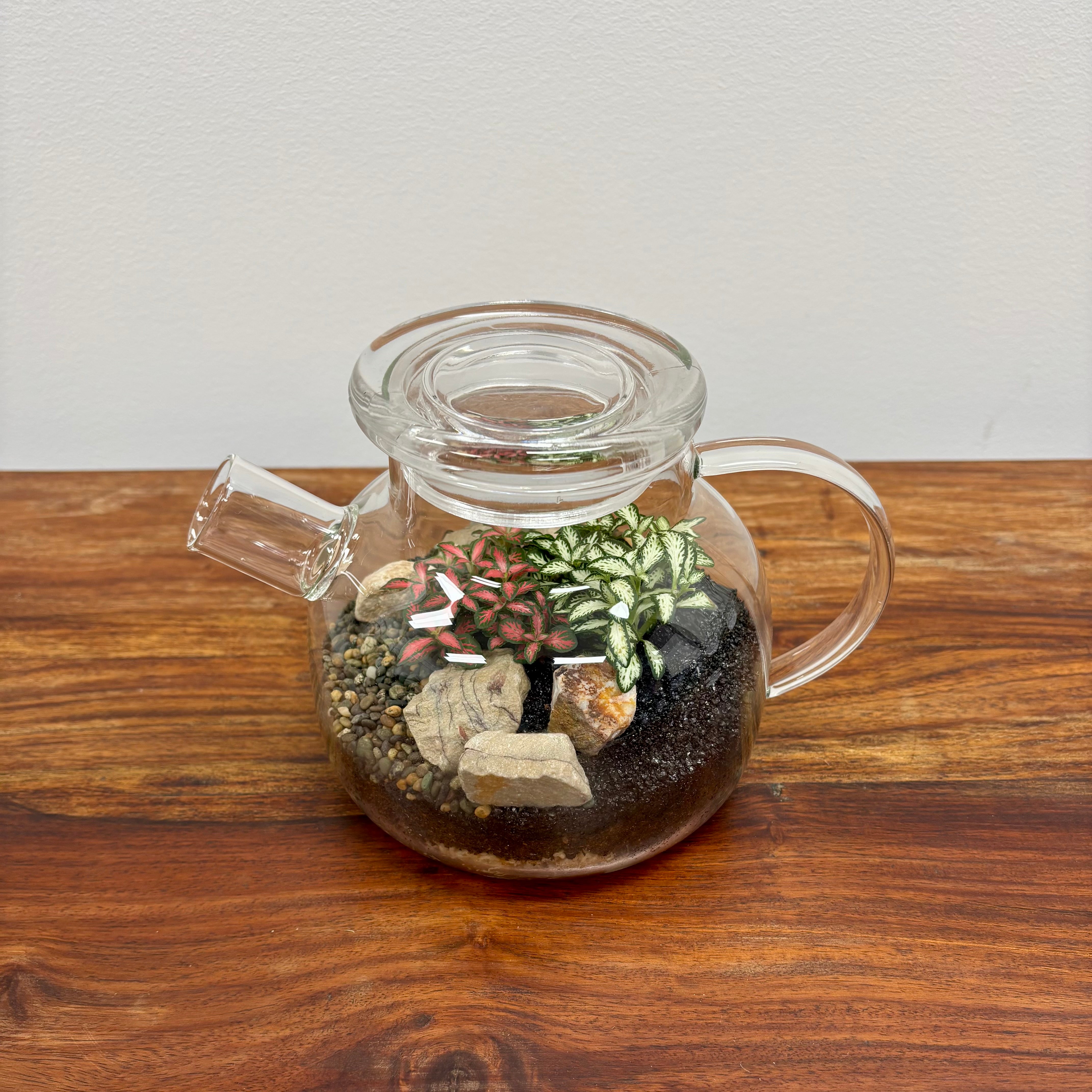 Terrarium by Little Lands
