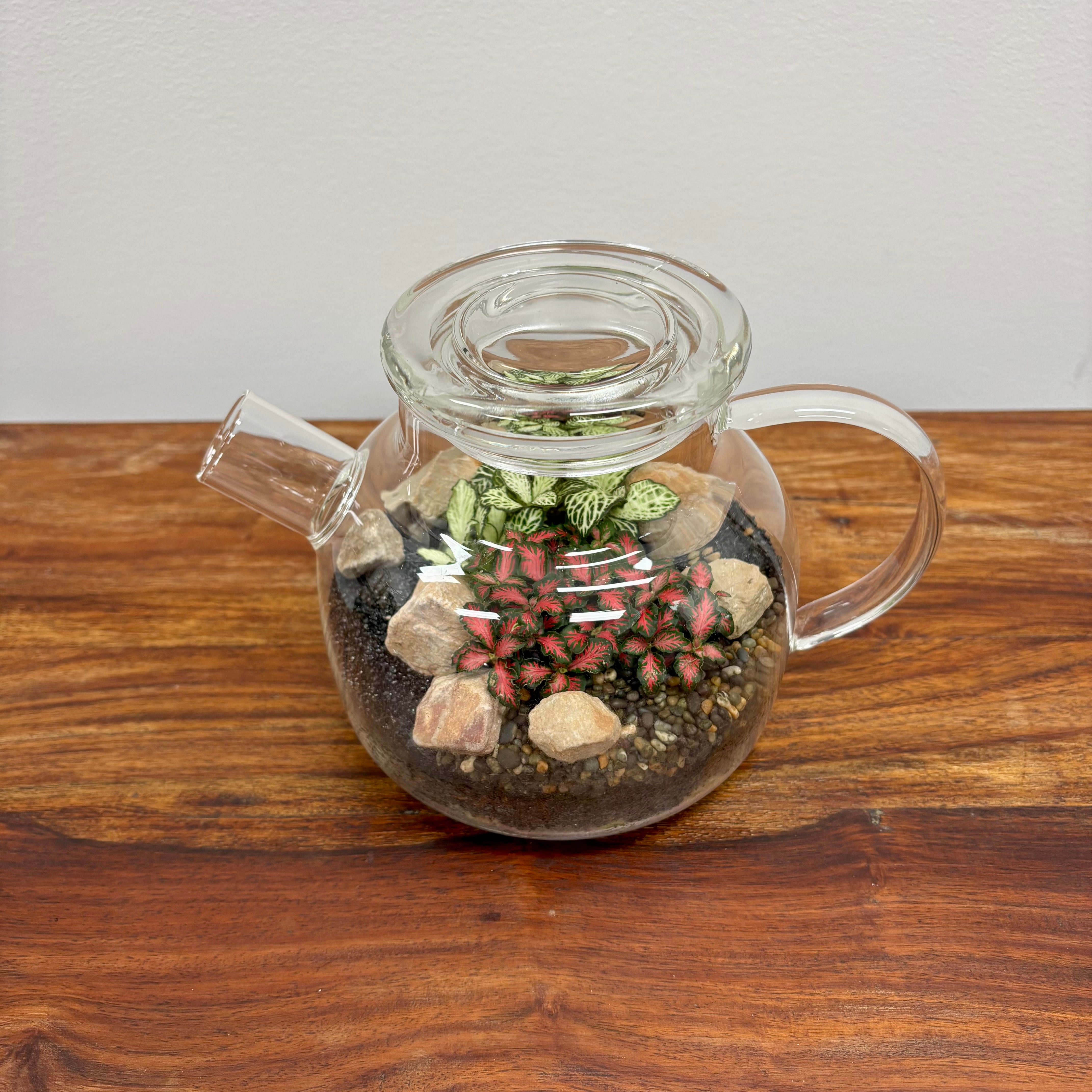 Terrarium by Little Lands