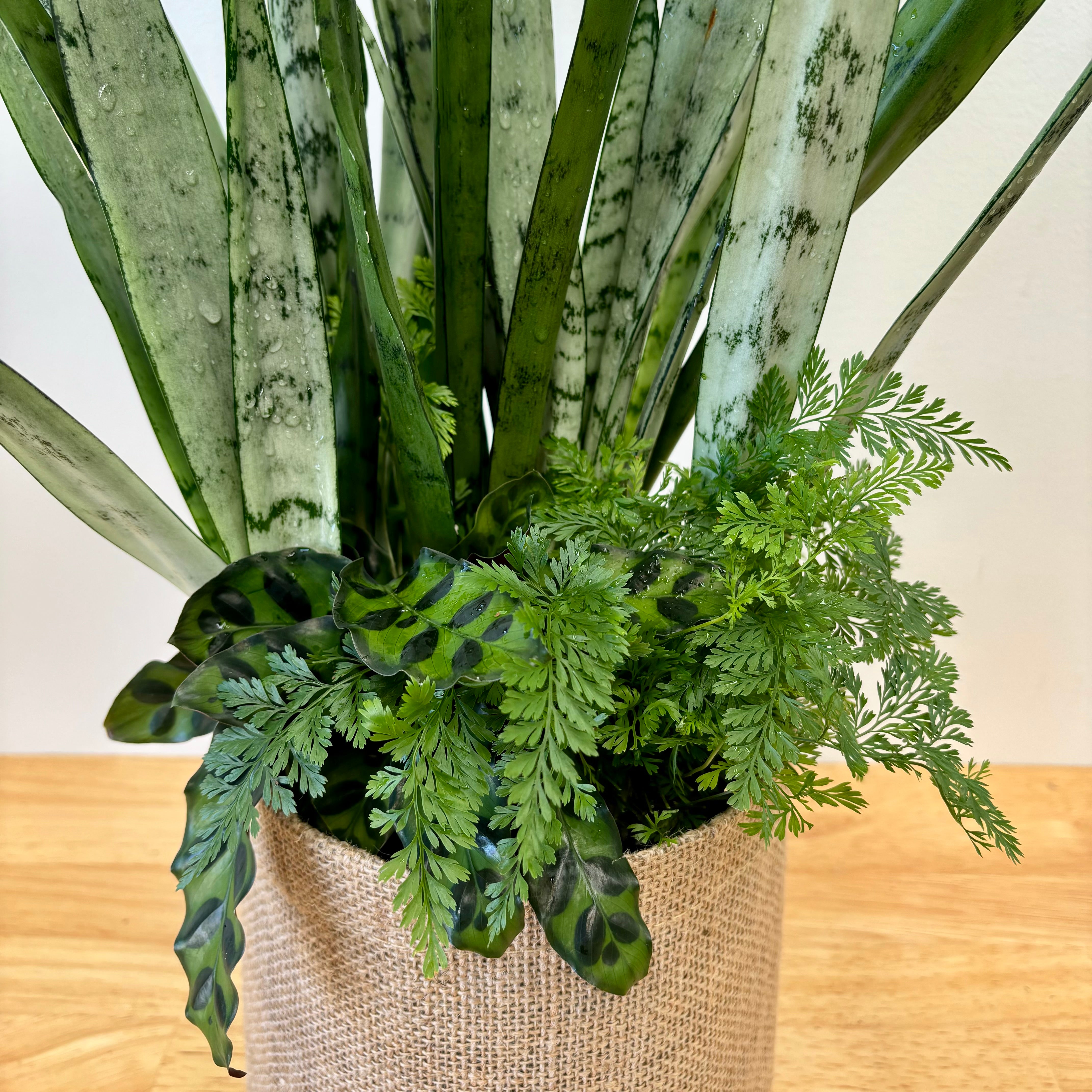 Premium - Large Foliage Arrangement