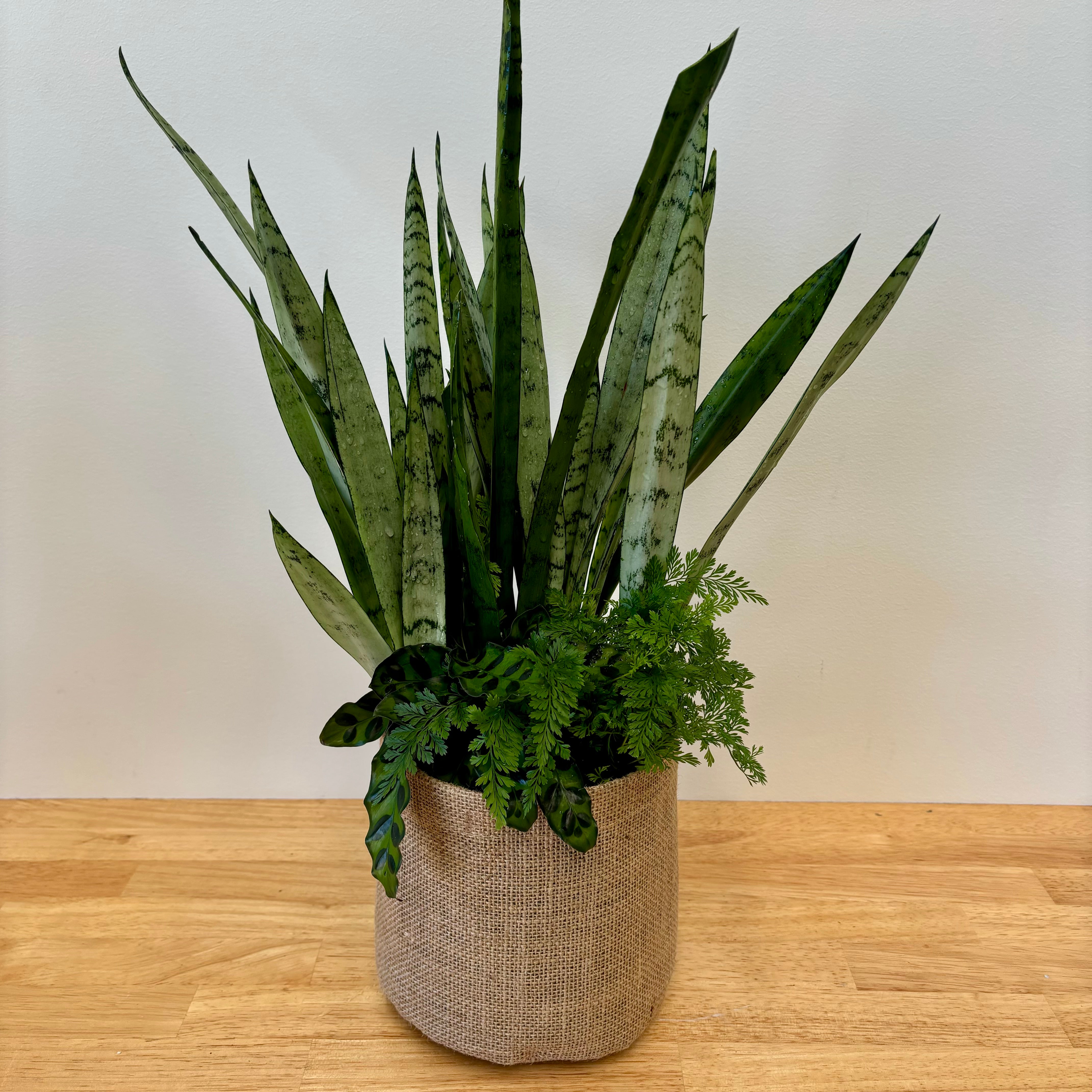 Premium - Large Foliage Arrangement