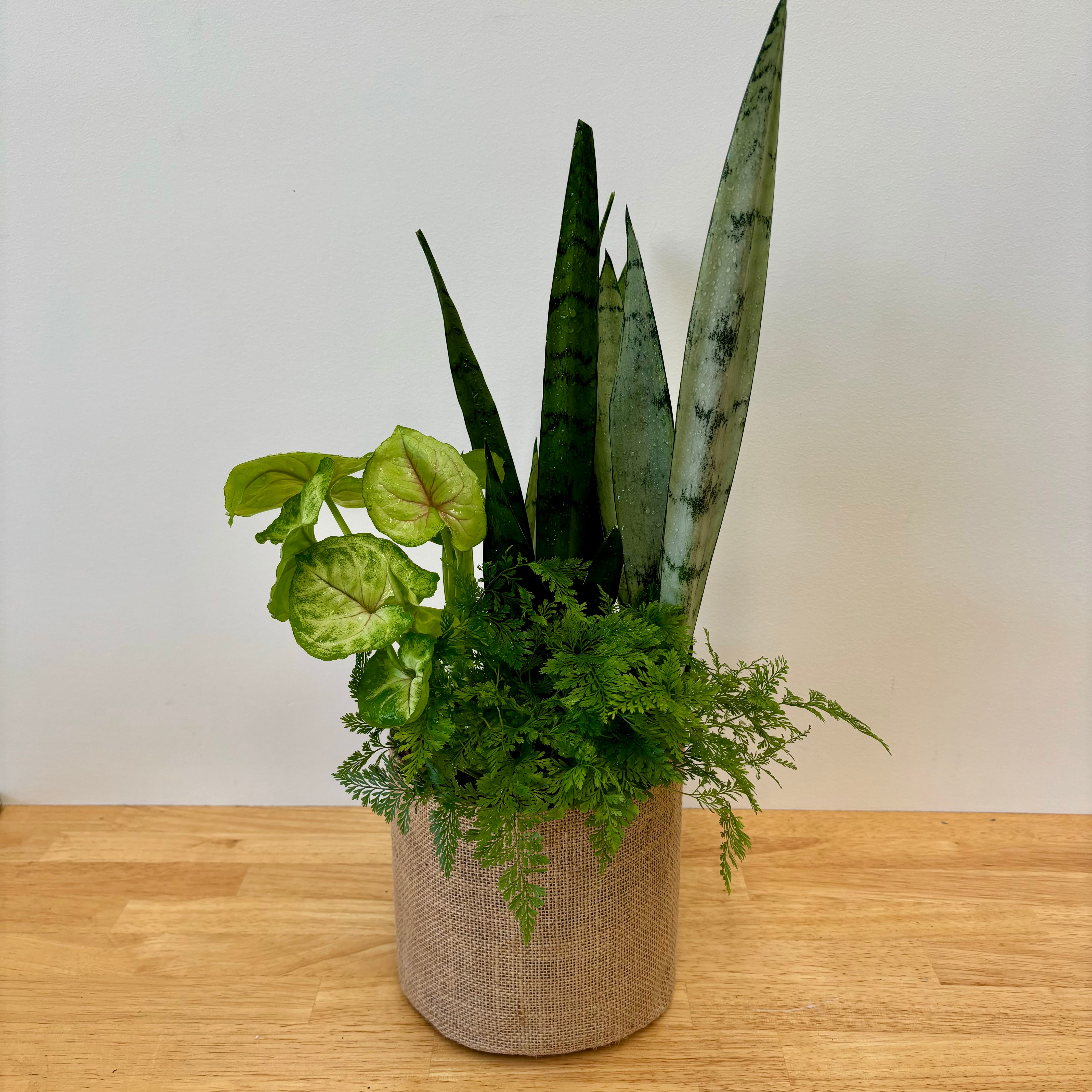 Premium - Large Foliage Arrangement