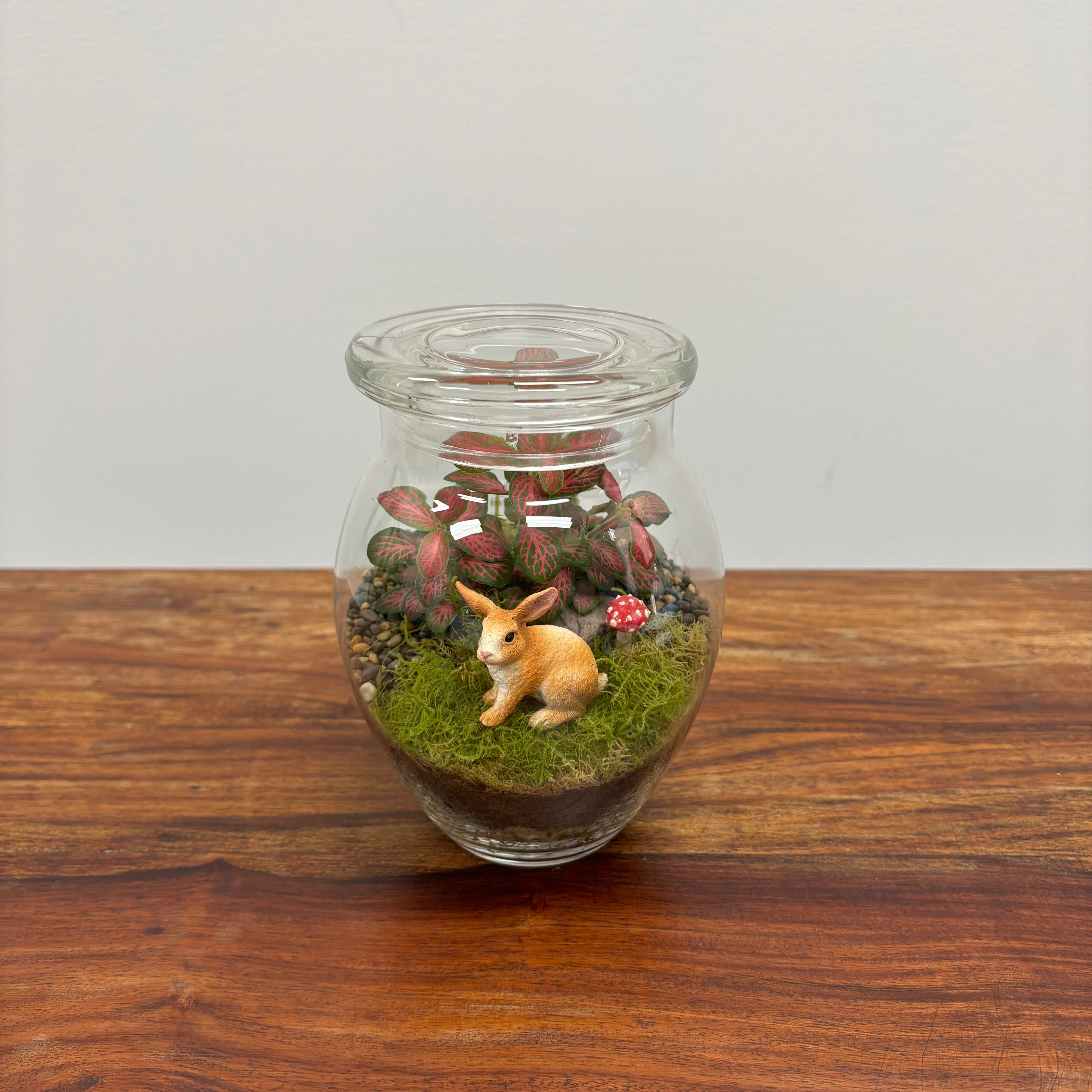 Terrarium by Little Lands