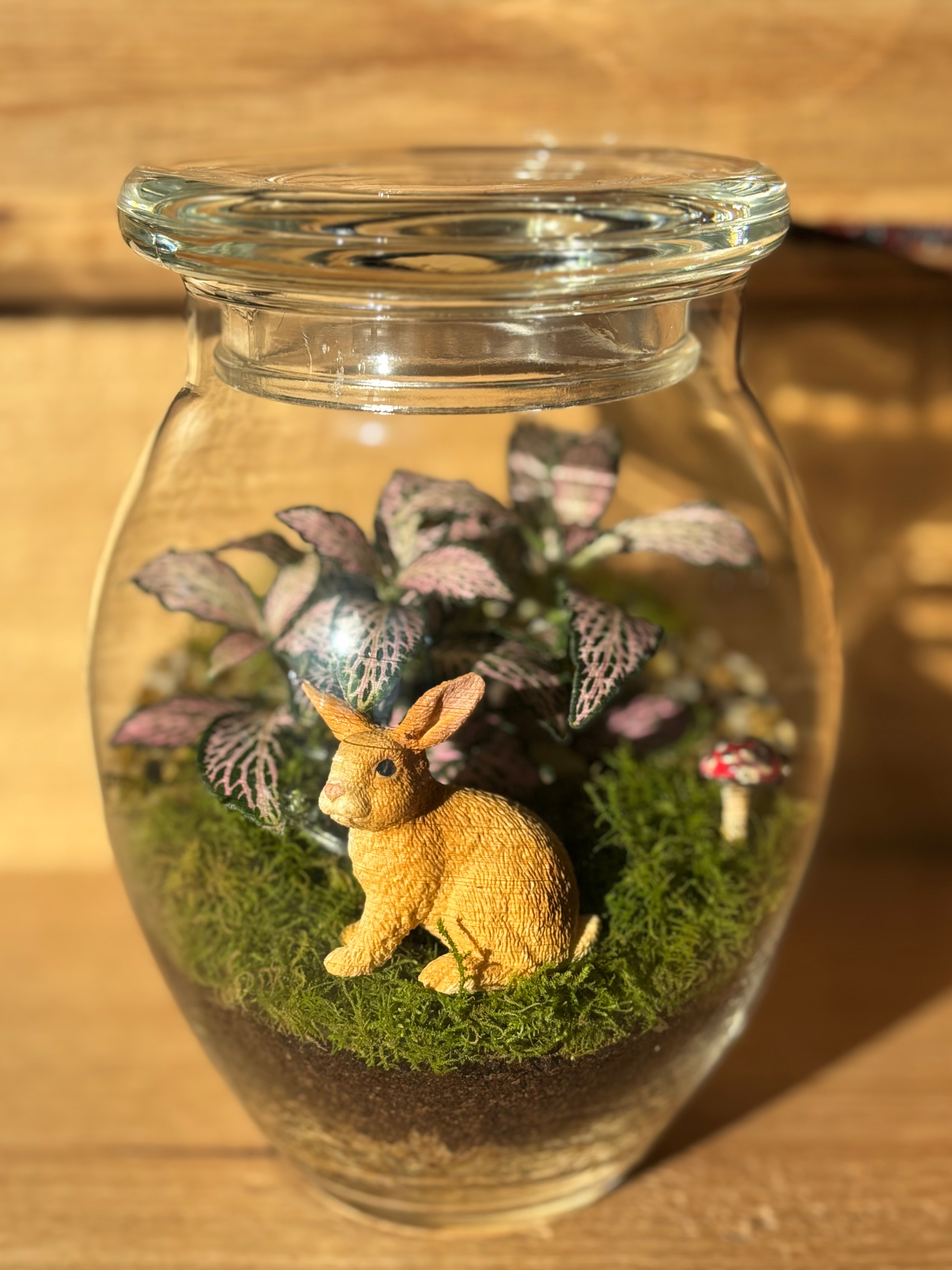 Terrarium by Little Lands