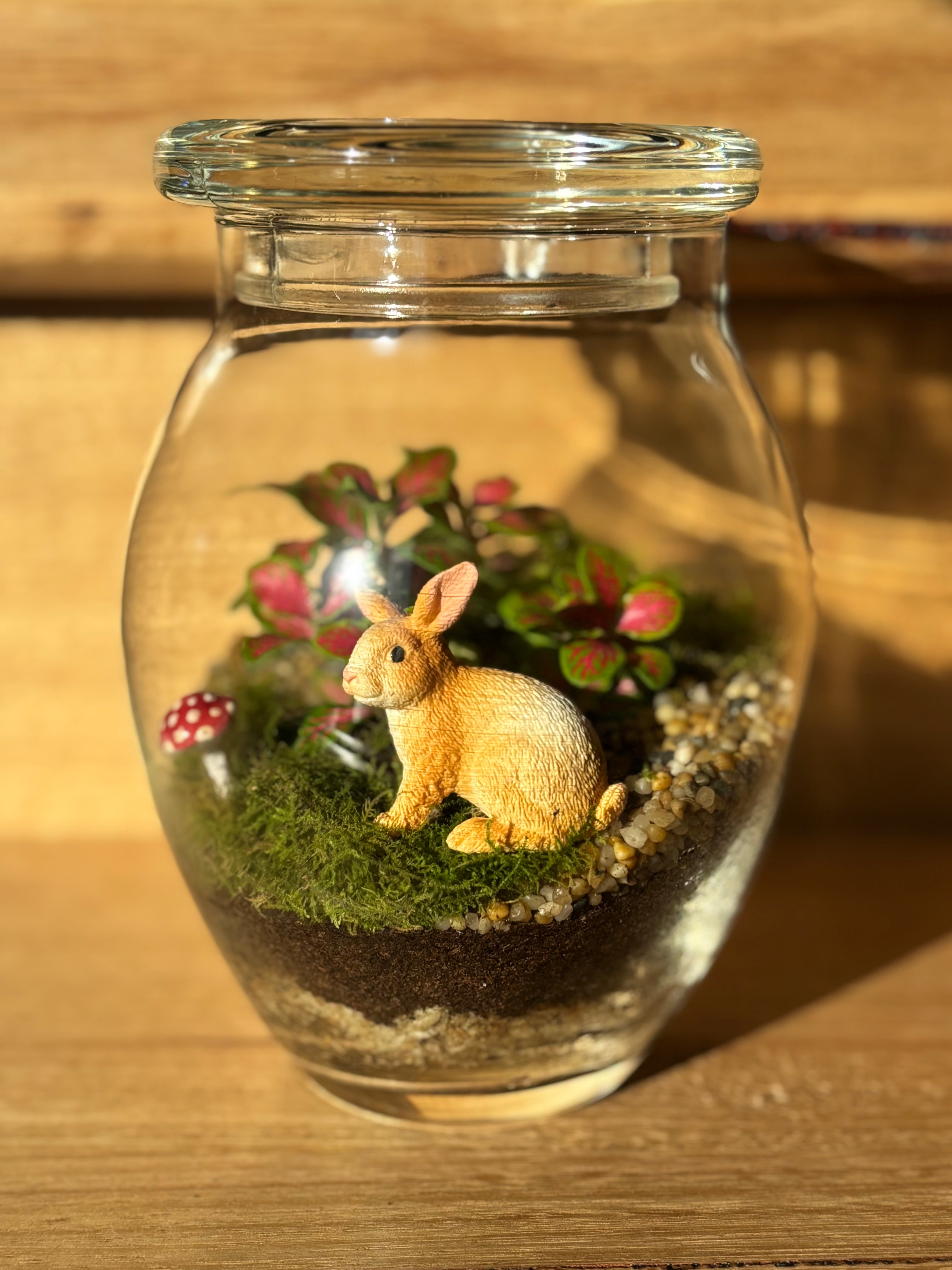 Terrarium by Little Lands