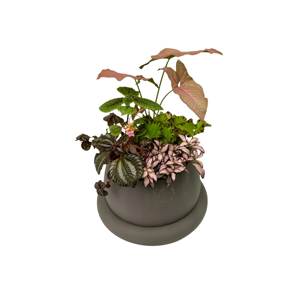 Premium - The Botanical Garden (Large)