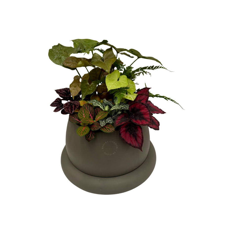 Premium - The Botanical Garden (Large)
