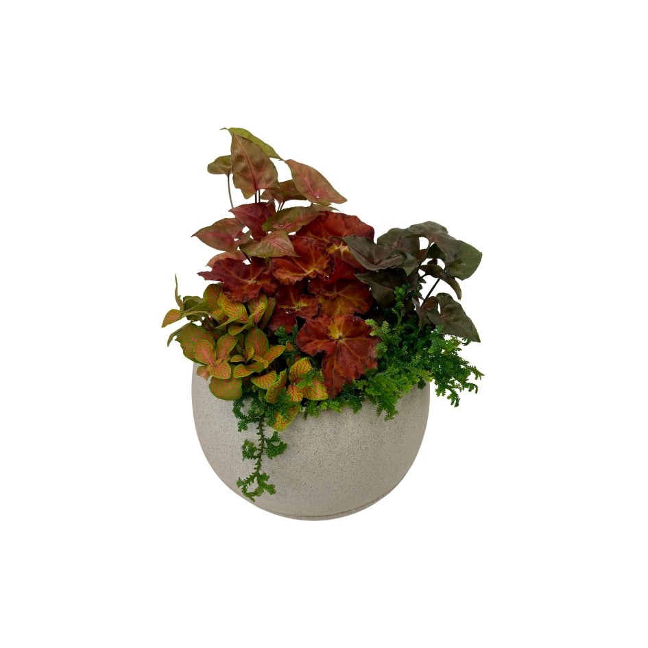 Premium - The Botanical Garden (Large)