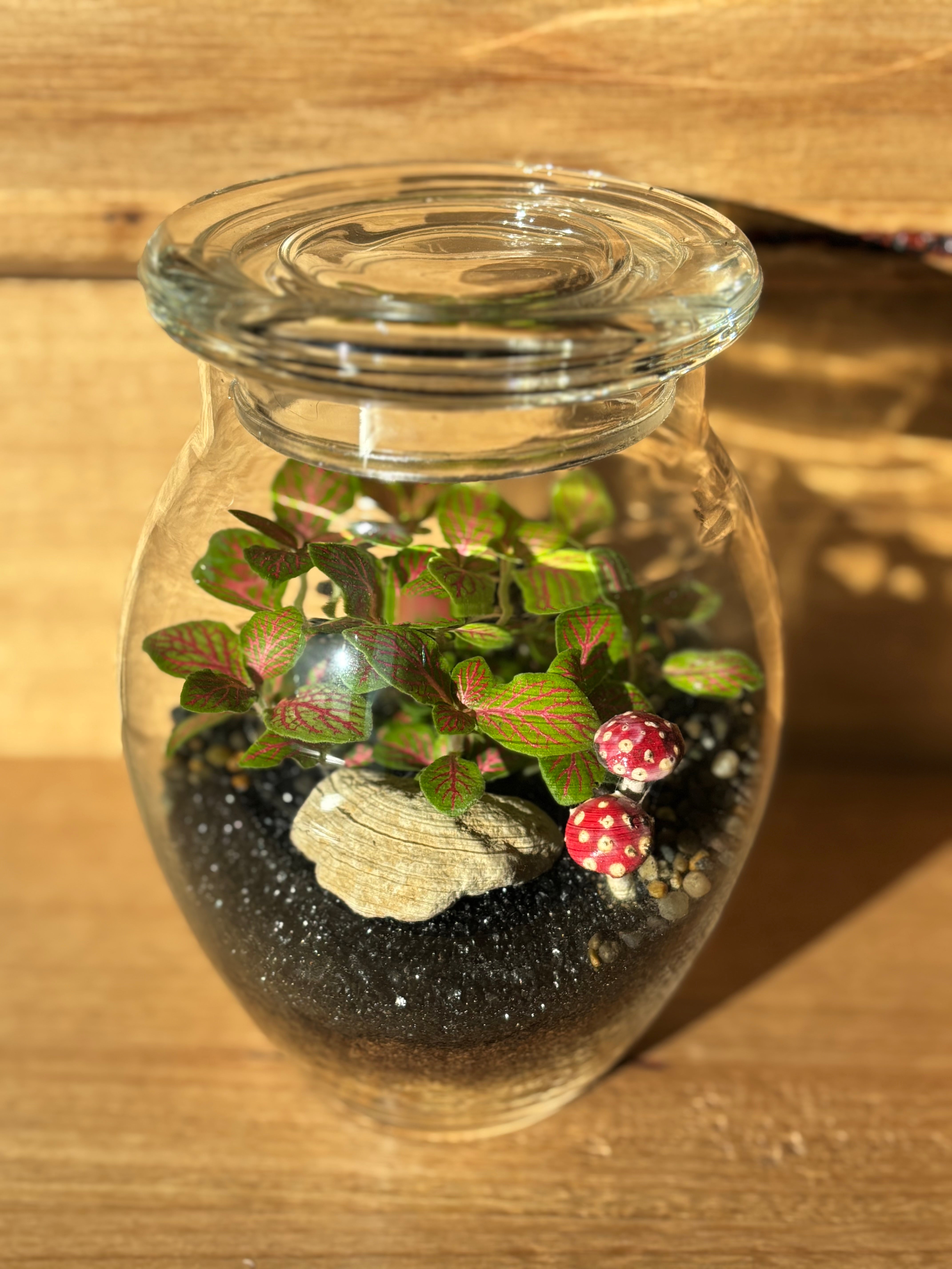 Terrarium by Little Lands