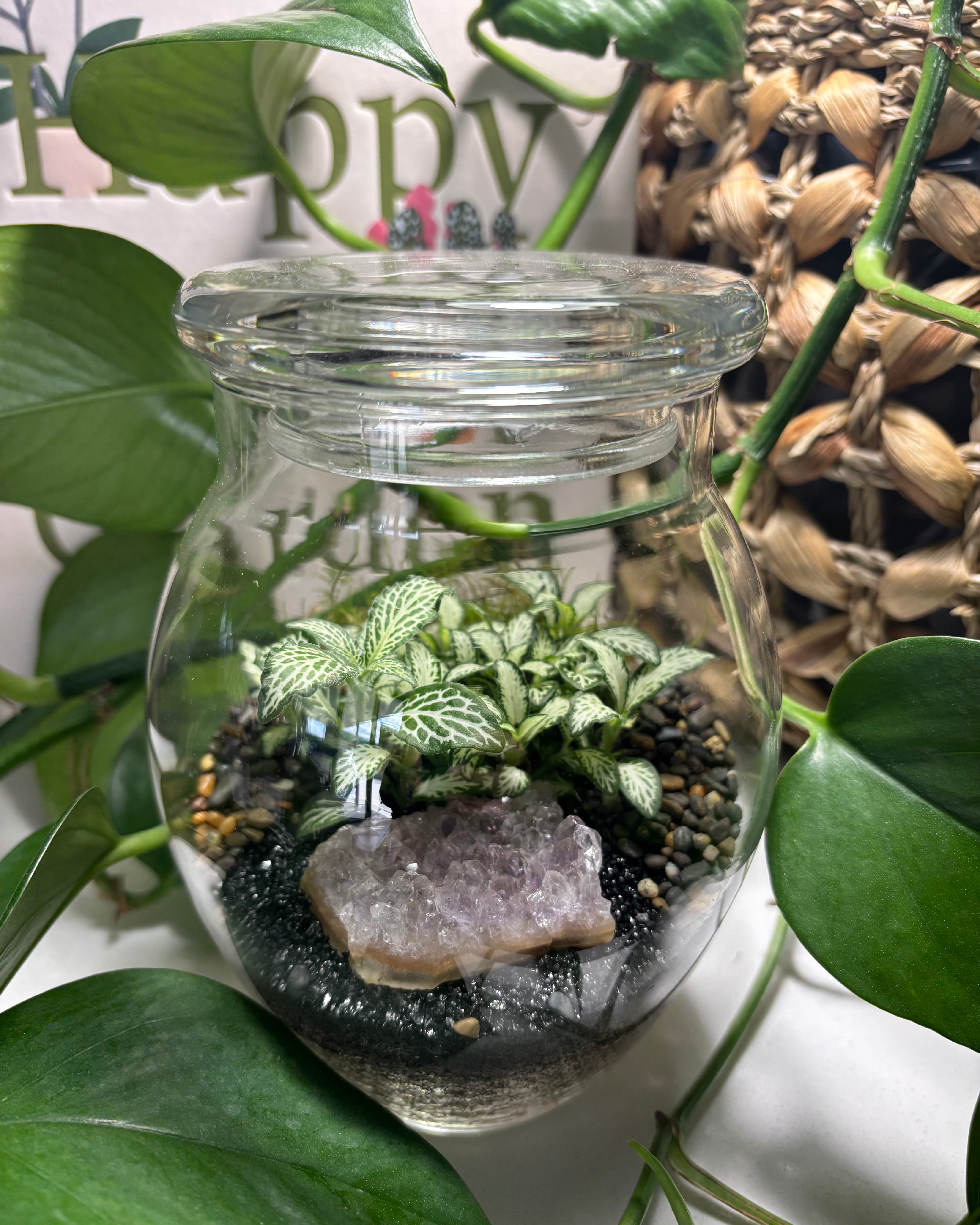 Terrarium by Little Lands