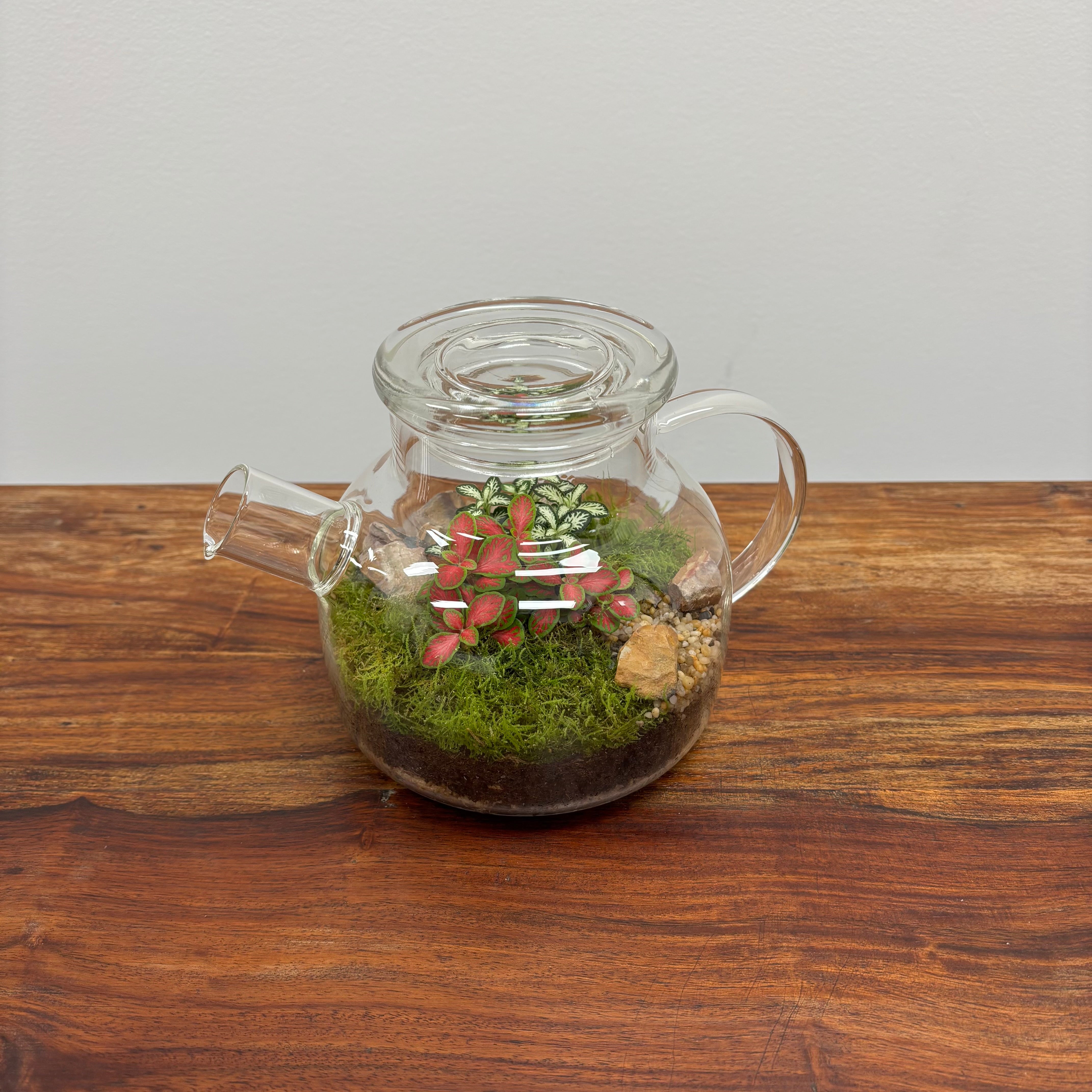 Terrarium by Little Lands