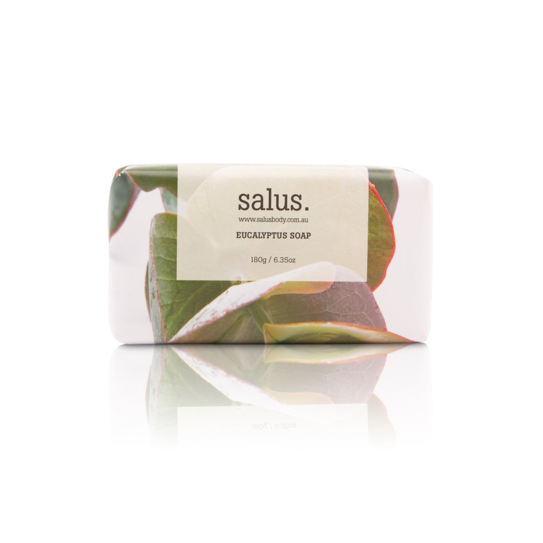 same day indoor plant and gift delivery Melbourne | Salus Bar Soaps 