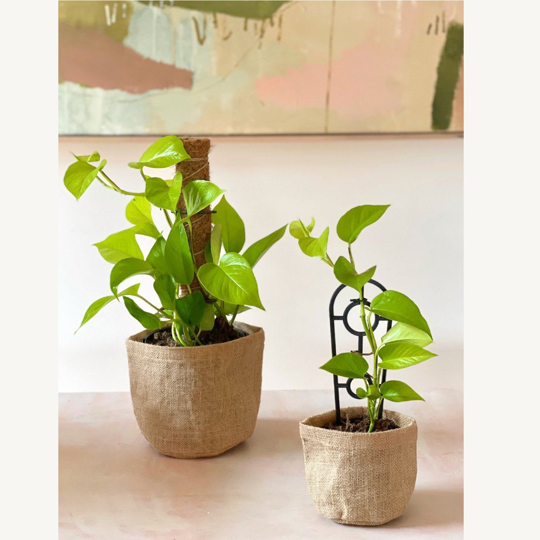 hessian plant pots Hello Botanical Hessian Pot Covers